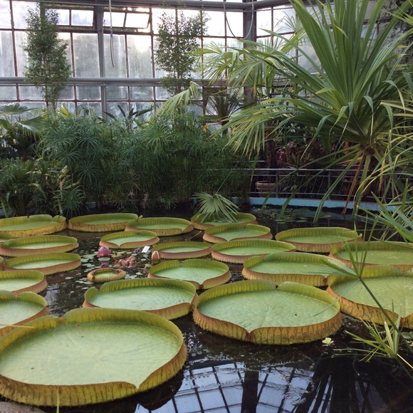 Meet your Poshe - Picture 2 of 2